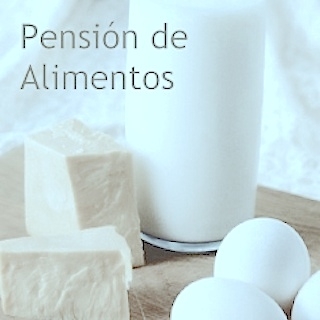 PENSIÓN DE ALIMENTOS A FAVOR DE HIJOS. SEPARACIÓN, DIVORCIO, NULIDAD.